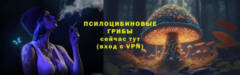 Галлюциногенные грибы MAGIC MUSHROOMS  это формула  Камбарка 